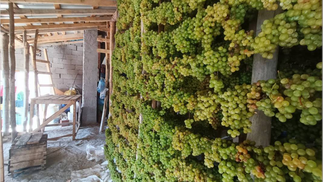 Konya’da yüz yıllardır süren bir gelenek: Üzüme farklı bir lezzet katıyor 2